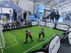 我但愿可以或许借帮中国开辟者的力